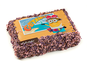 Choco Kid S Cake 750g Pastisfred